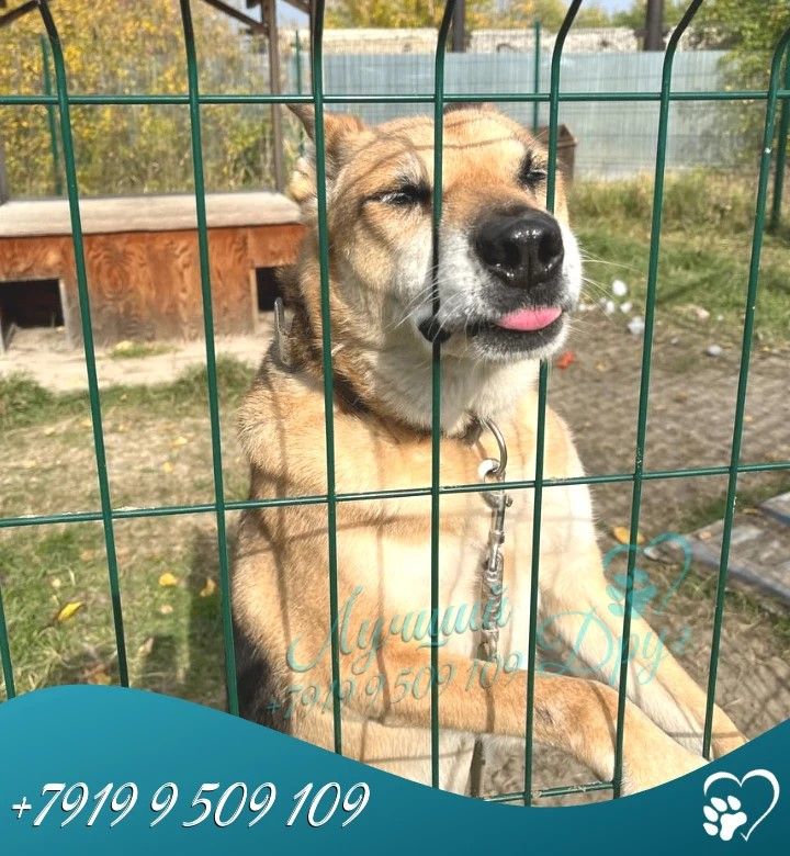 Дранго